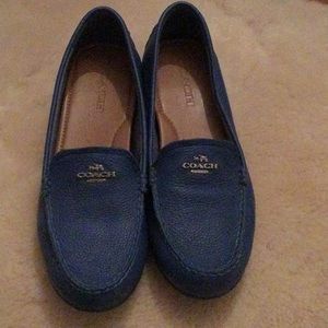 Blue coach shoes